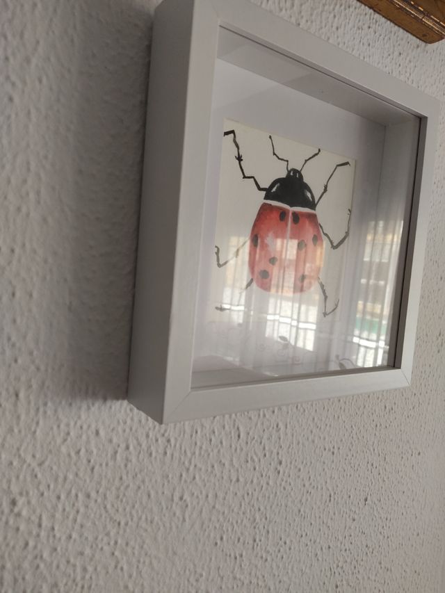 Cuadro,acuarela, "mariquita de la suerte" 