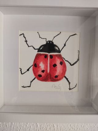 Quadro, acquerello, «coccinella fortunata»