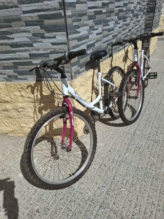 2 bicicletas 