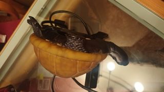 Lámpara tortuga decorativa