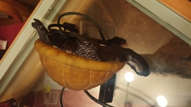 Lámpara tortuga decorativa