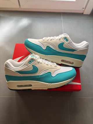 Nike Air Max 1 Dusty Cactus Talla 44