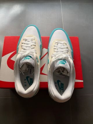 Nike Air Max 1 Dusty Cactus Talla 44