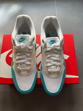 Nike Air Max 1 Dusty Cactus Talla 44