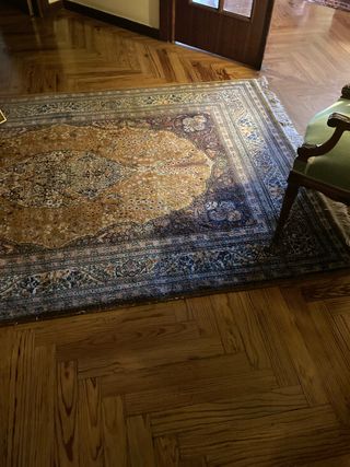 Alfombra Persa Multiclor