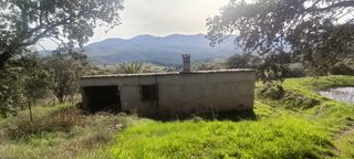 Terreno en Guadalupe