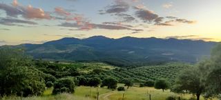 Terreno en Guadalupe