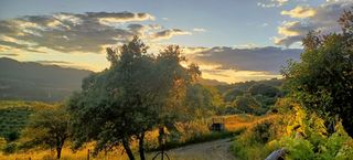 Terreno en Guadalupe