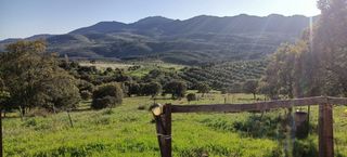 Terreno en Guadalupe