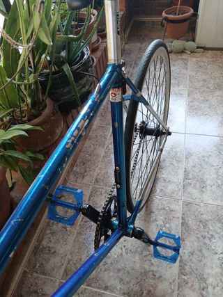 Fixie contrapedal 