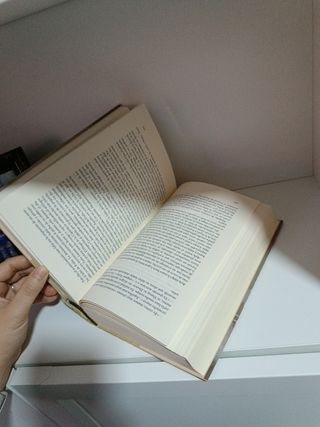 Libro Los cazadores de mamuts de Jean M.Auel
