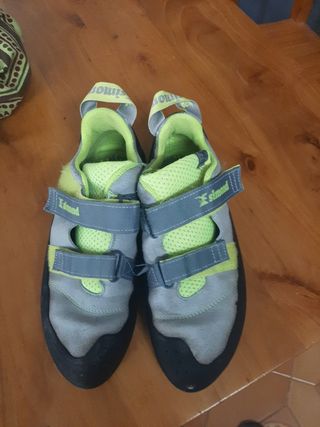 Pies de gato Simond grises y verdes