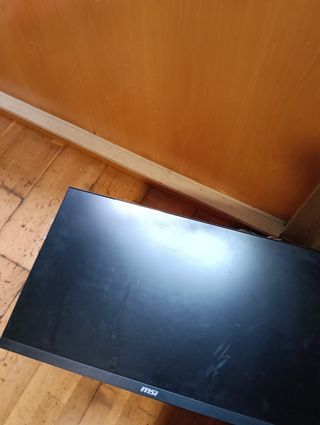 Monitor MSI no enciende