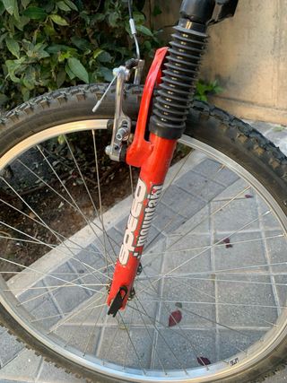 Bicicleta de Montaña