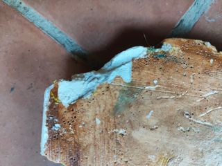 Decorazione floreale in gesso