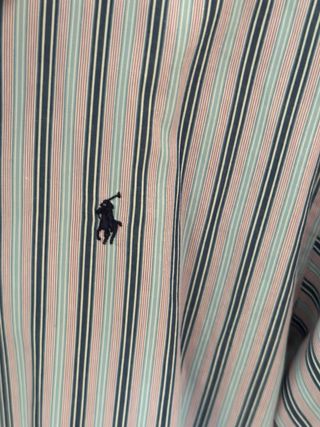Camicia Polo Ralph Lauren. È una taglia 18 per bambini