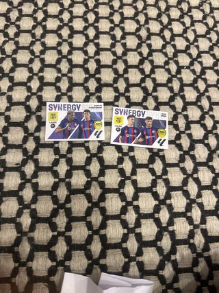 Cromos Sinergia 2023-2024