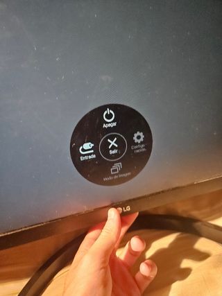Monitor LG Negro