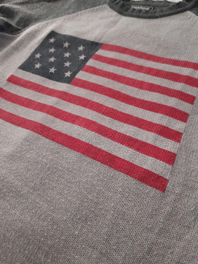 Maglione uomo TRN1961 grigio con bandiera USA