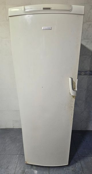Frigorífico Electrolux Inspire