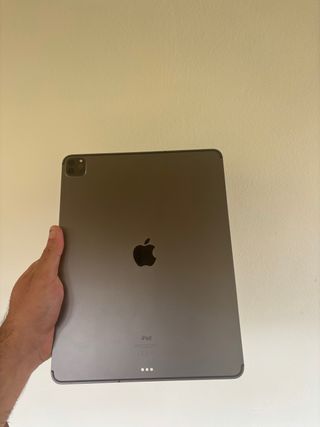 iPad Pro 12.9 4ª Gen 256GB WiFi Gris