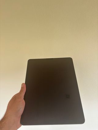 iPad Pro 12.9 4ª Gen 256GB WiFi Gris