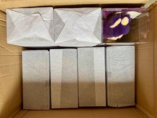 Labubu Wings of Fortune POP MART