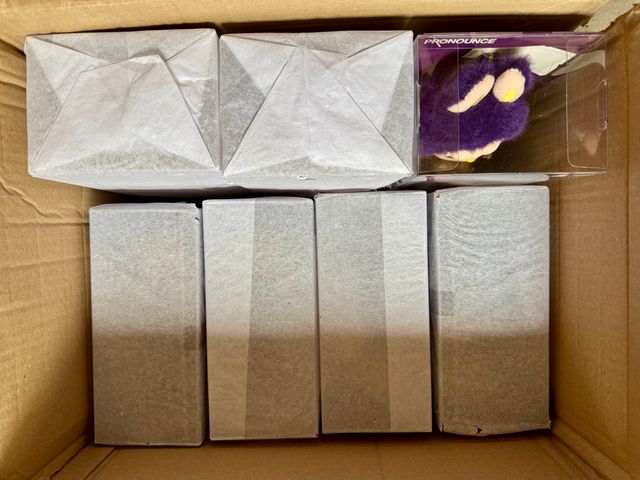 Labubu Wings of Fortune POP MART