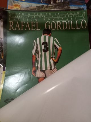 Álbum cromos fútbol España Panini