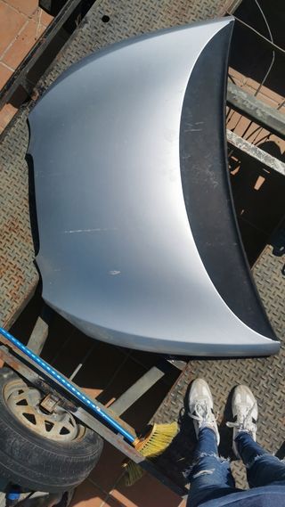 Capó gris  Seat León 