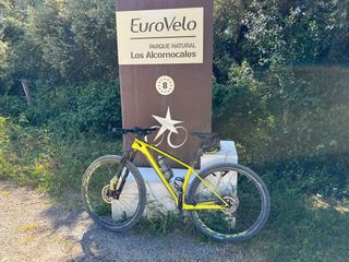 Bicicleta MTB 29 Carbono scott scale 930 2021