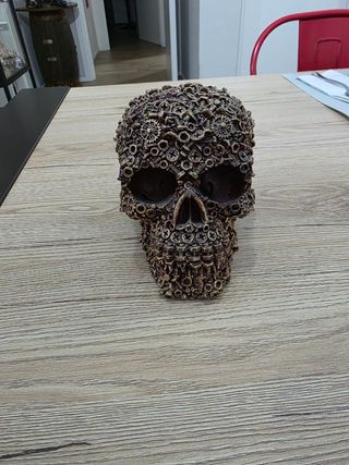 Teschio decorativo