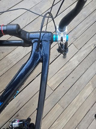 Trek Slash 8 Gen 6 (2024/2025)