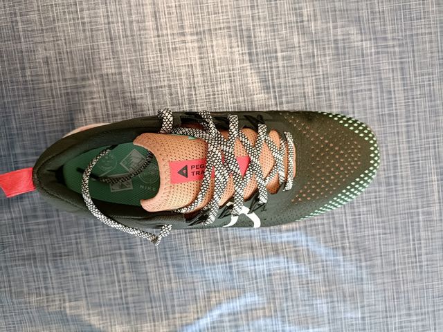 Nike Pegasus Trail.