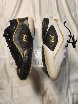 Nike Lebron XXII