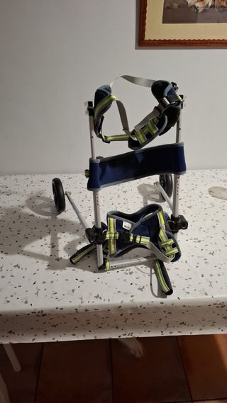 Carrito para perros sin estrenar