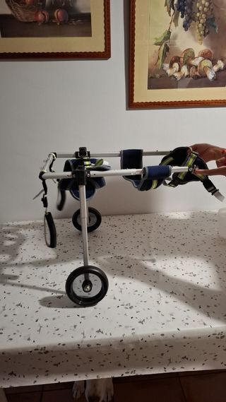 Carrito para perros sin estrenar