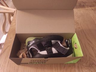 Pies de gato Boreal mujer T37