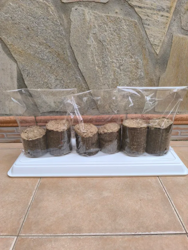 Confezione da 3 sacchetti di Briquetas Ecológicas