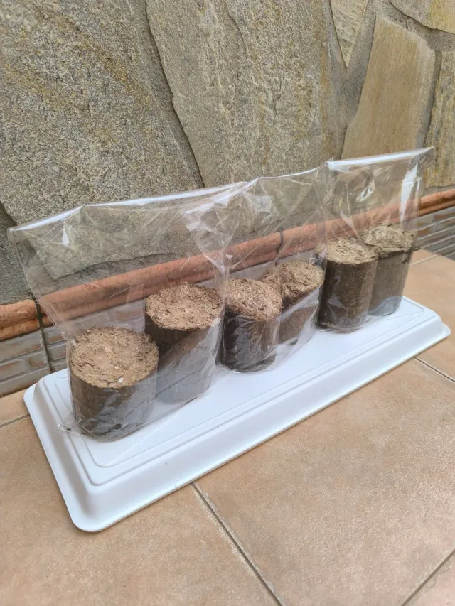 Confezione da 3 sacchetti di Briquetas Ecológicas