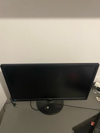 Monitor AOC E2460SH Negro