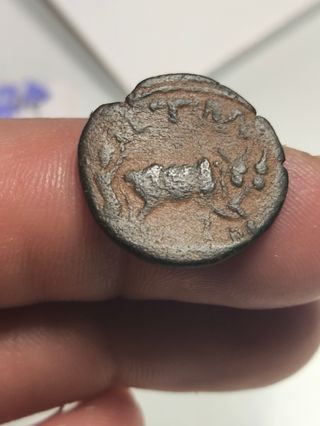Moneda Romana Eliogabalo Petra