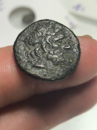 Moneda Griega Antigua Pontos Amisos