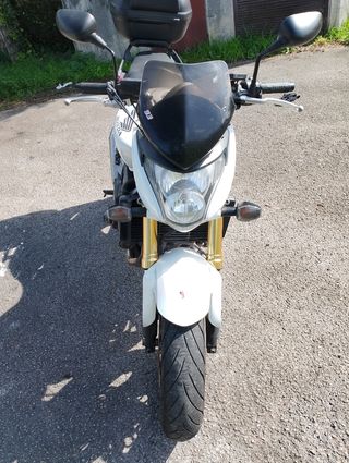 Honda CB600F Hornet 2010