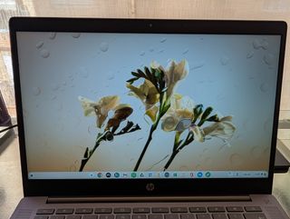 HP Chromebook 14 Silver - Ottime condizioni