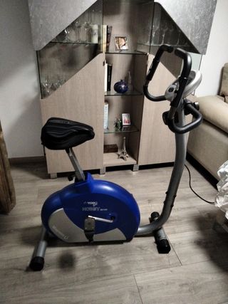 Bicicleta Estática Azul y Gris