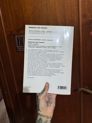 Manuale dei Chakra. Teoria e pratica (Italian E...