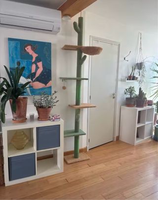 Rascador Gatos Cactus 229cm