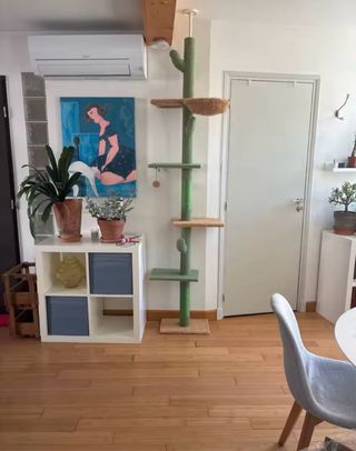 Rascador Gatos Cactus 229cm