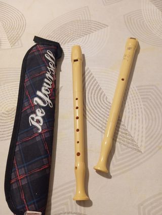 Funda y flauta dulce Monster High,